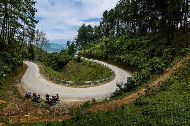 rừng thông Yên Minh rừng thông Yên Minh